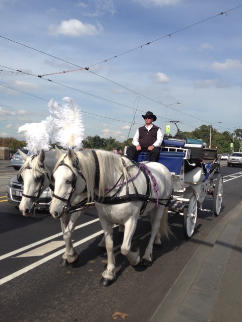 Horse drawn carriage in Melbourne